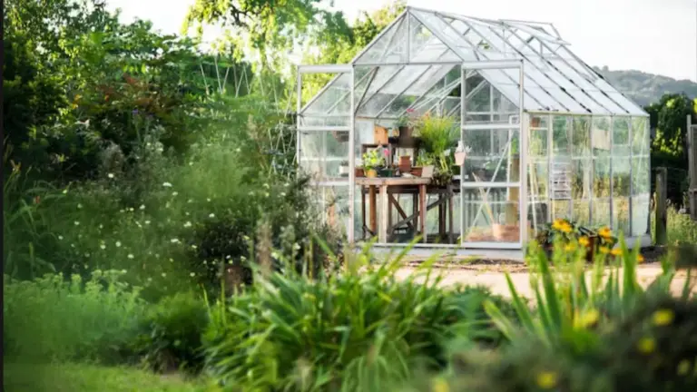 Conservatories