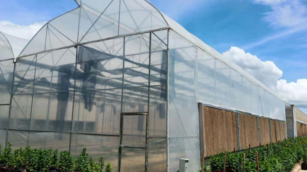 Agricultural Building