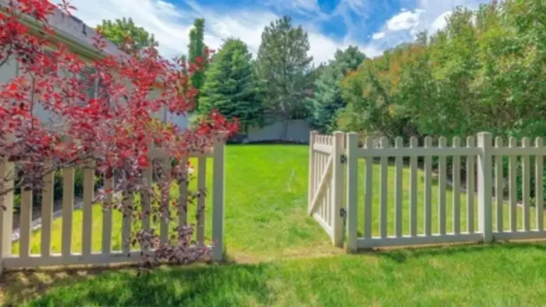 Fences and Gates
