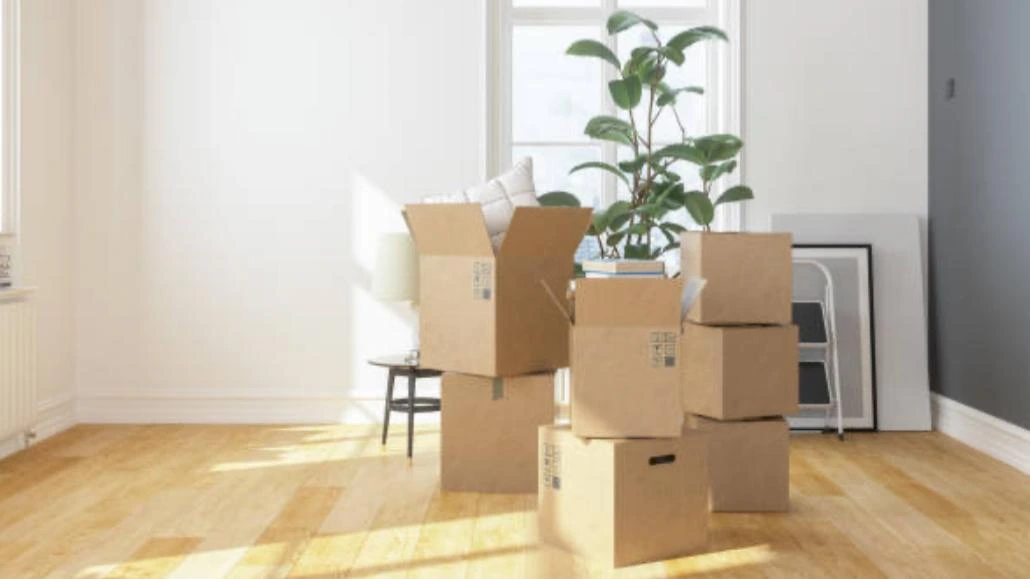 boxes