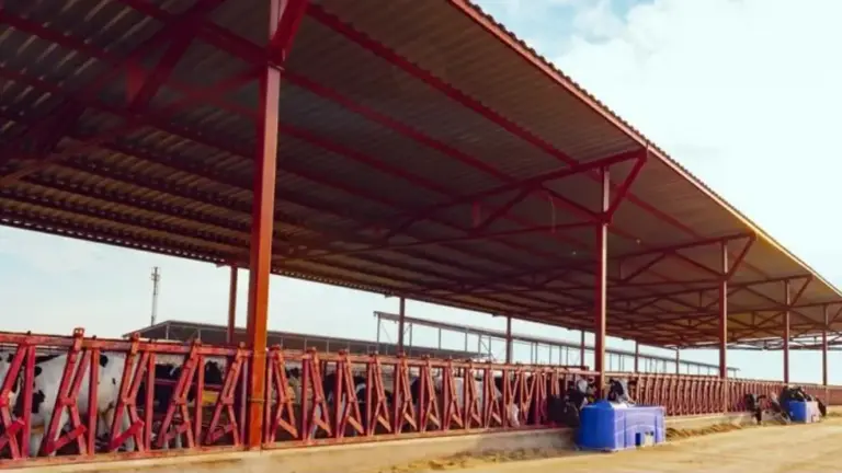Temporary Structure